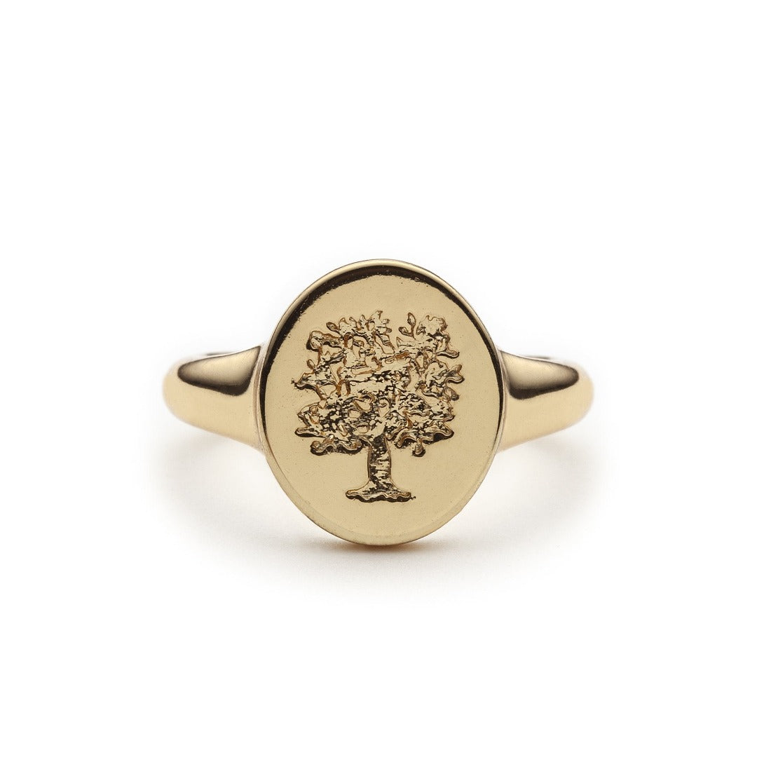 Livets Træ 🌳 Signet Ring