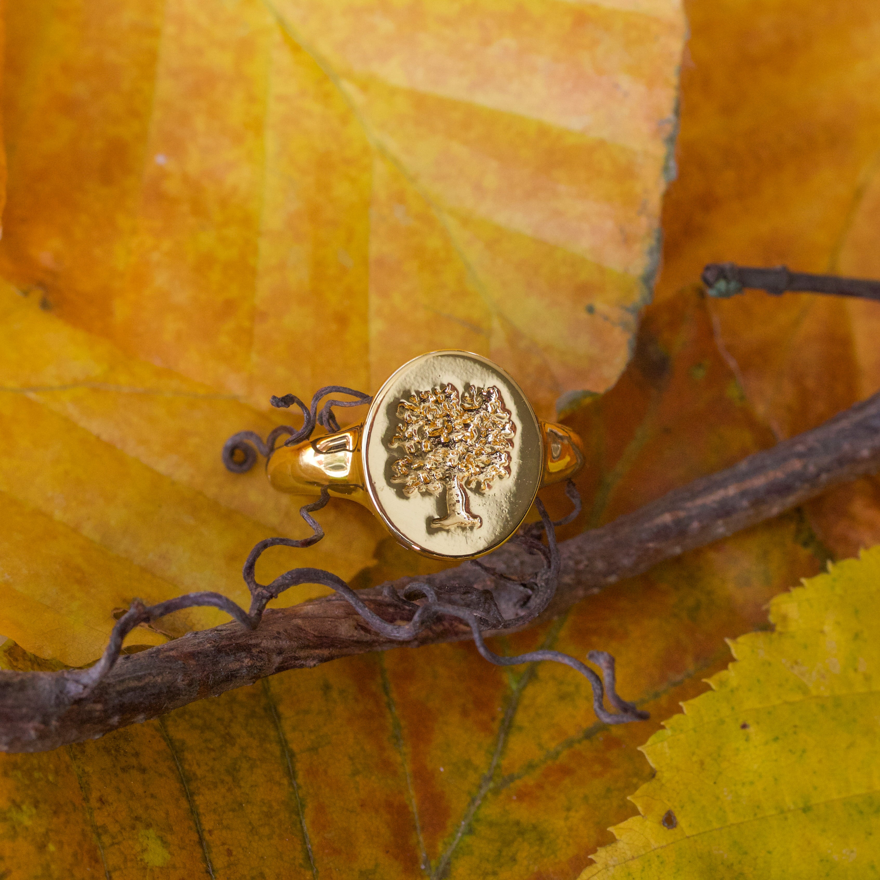 Livets Træ 🌳 Signet Ring