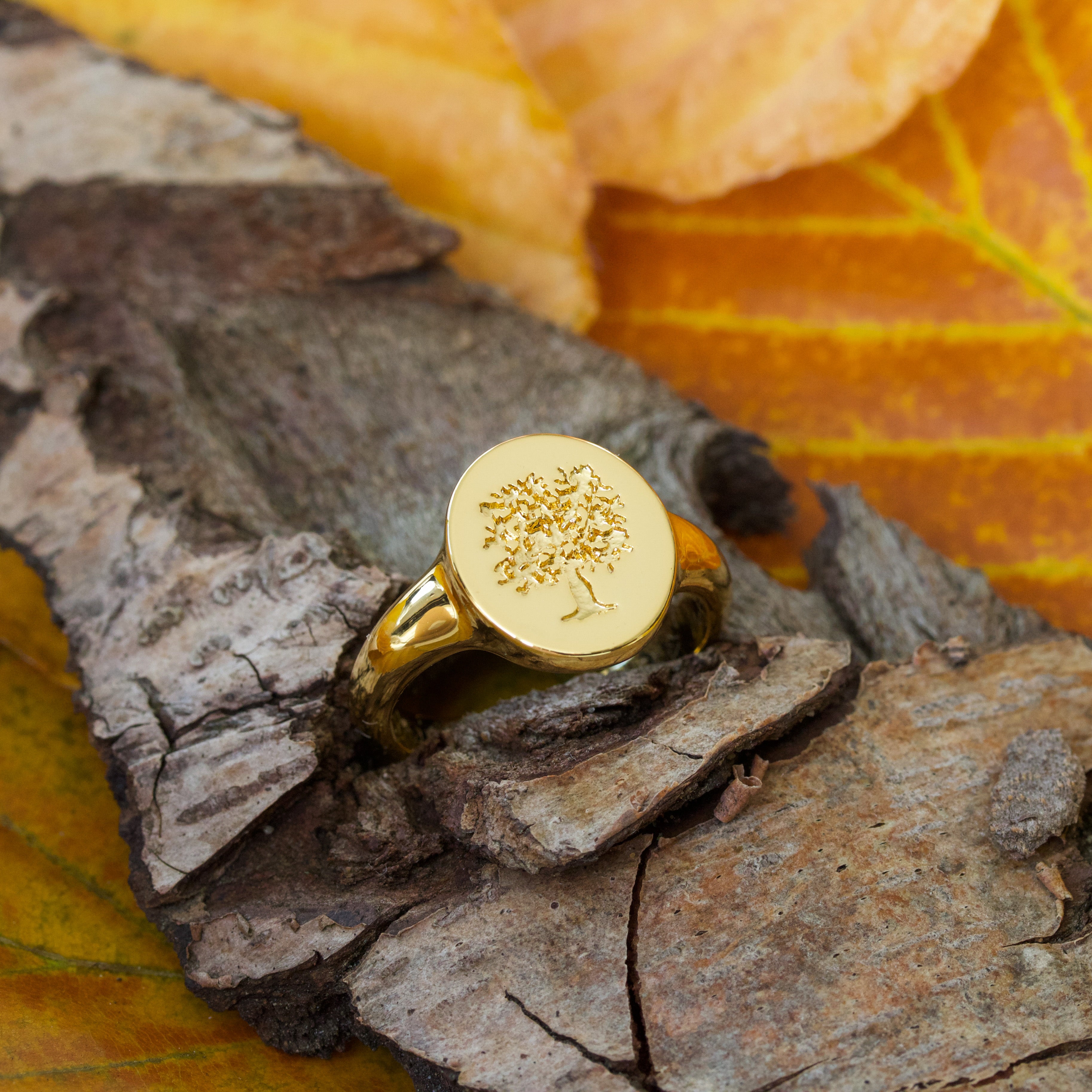 Livets Træ 🌳 Signet Ring